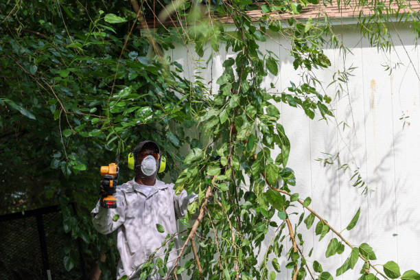 Best Pest Control for Lawns  in East Chicago, IN